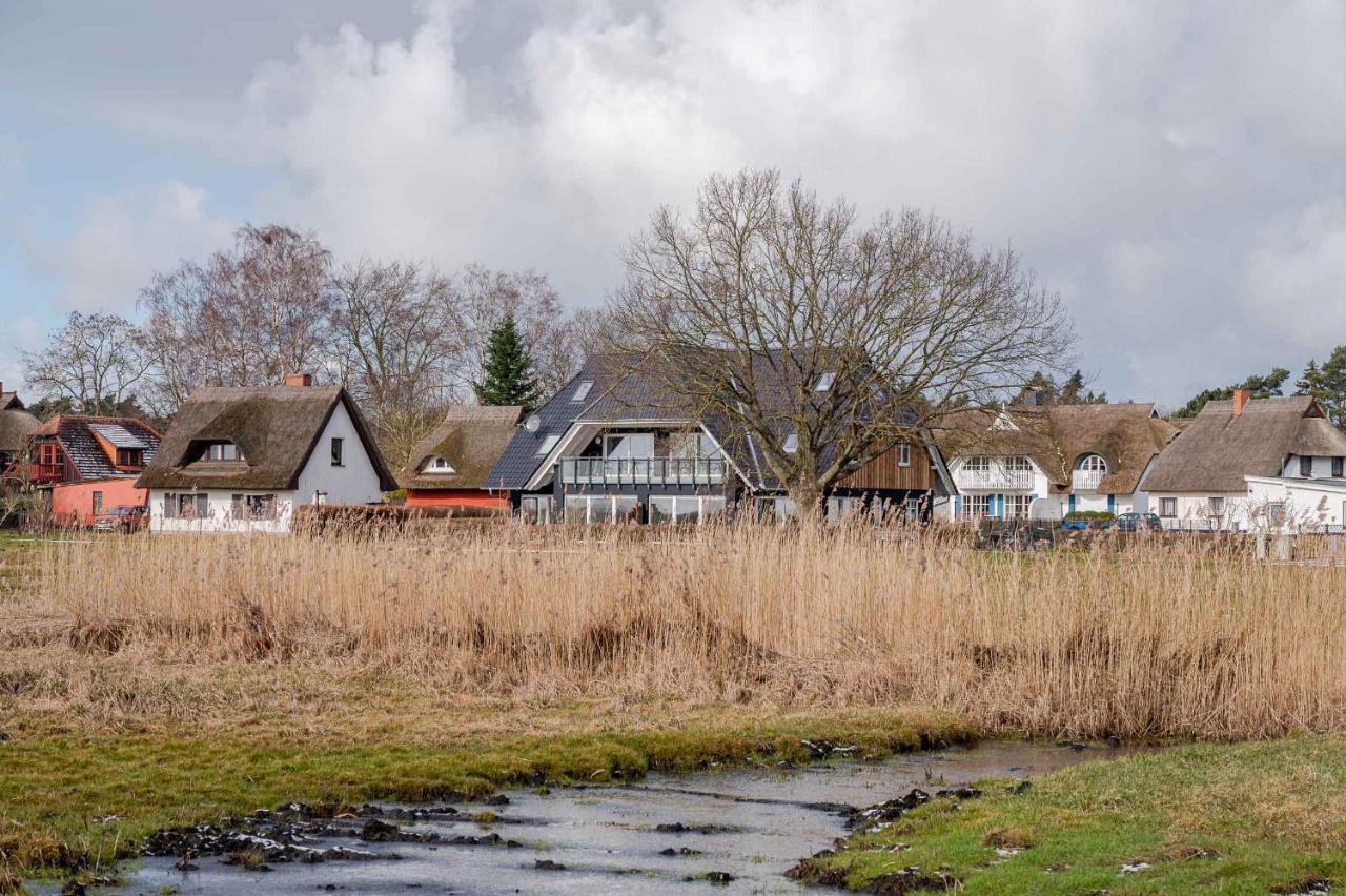 Haus Badestrand Badestrand 2 ボルン エクステリア 写真